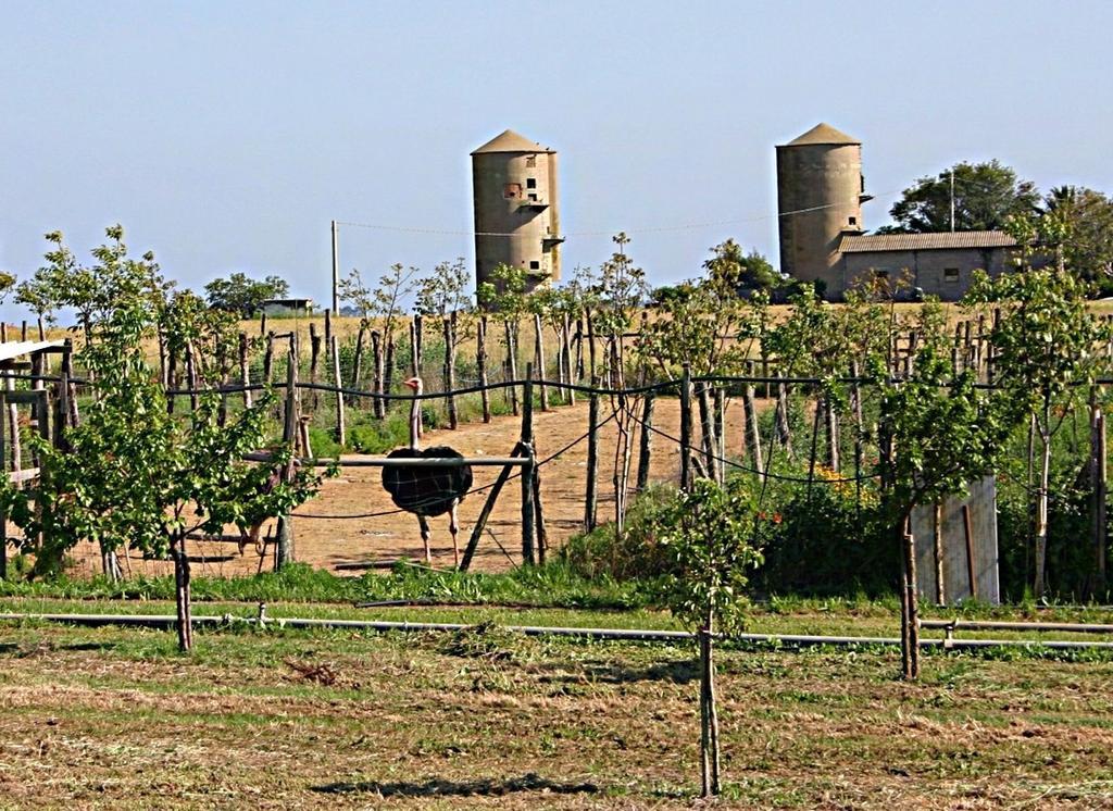 B&B Corte Degli Struzzi Pescia Romana Exteriér fotografie